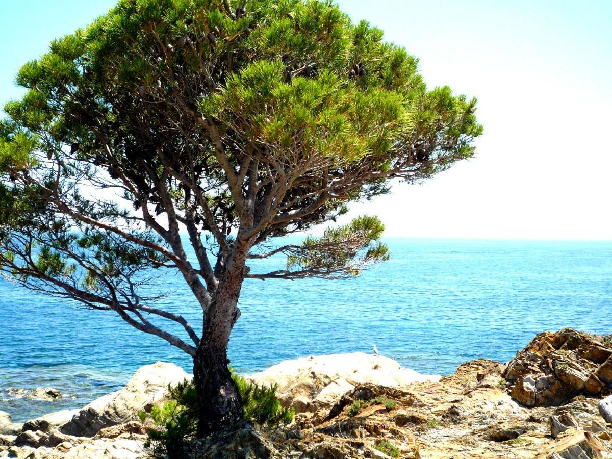 Caseta De Pescadors A Les Cales De Colera, 2ª Linea De Mar 外观 照片